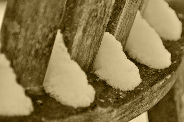 Photo Credit- Zach Erwin- https://www.zacharyerwin.com