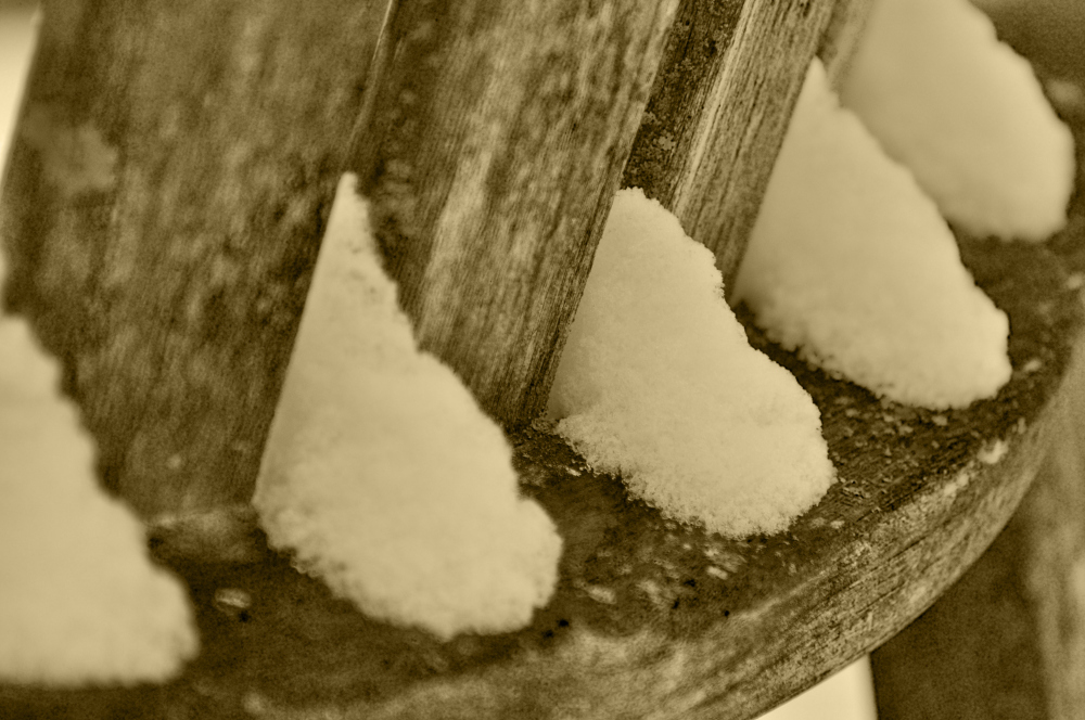 Photo Credit- Zach Erwin- https://www.zacharyerwin.com